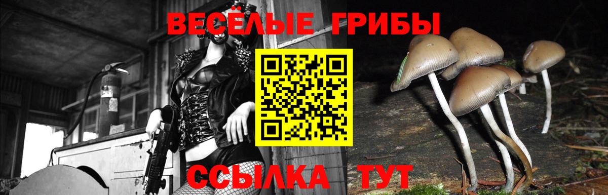 Галлюциногенные грибы прущие грибы Лениногорск
